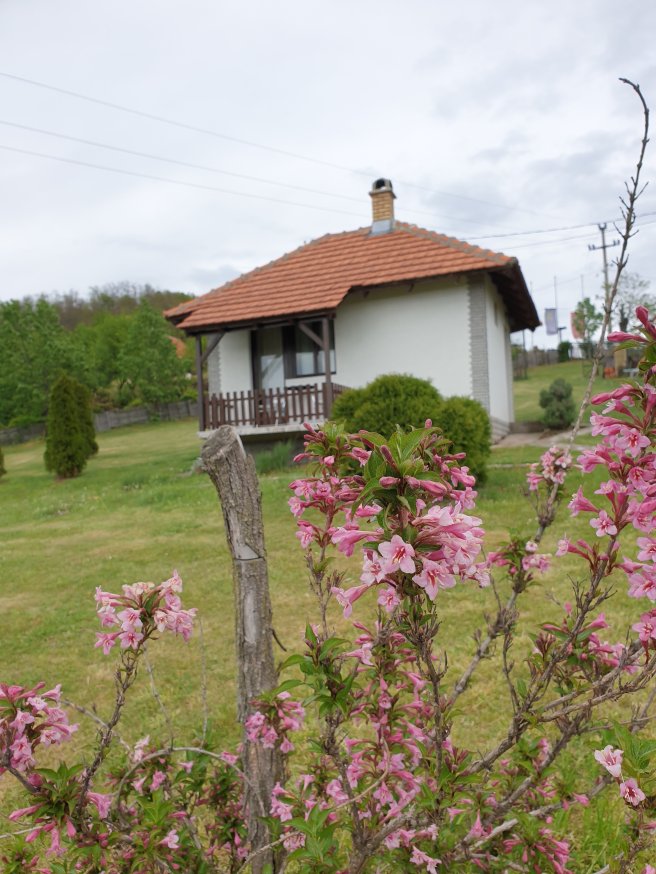 20200429_1552499114168083491344332