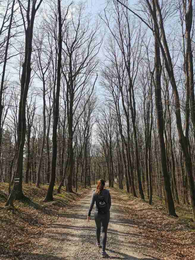 IMG-08ebf8f705f33151a5ca905abd744752-V