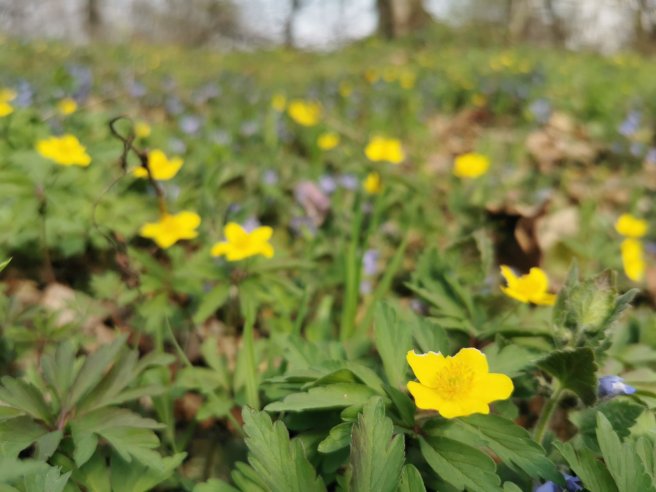 IMG-7bdd1c88218f622b1793bf2b47bb6dde-V