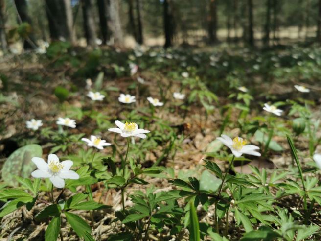 IMG-95895e58d2be6db58548d4e71c60a4c4-V