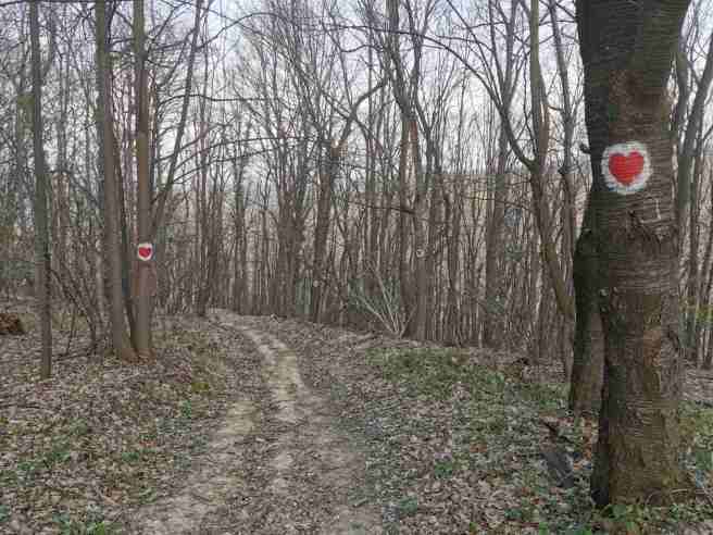 IMG-9824f318ecab67a9f04a0380bcc9ad15-V