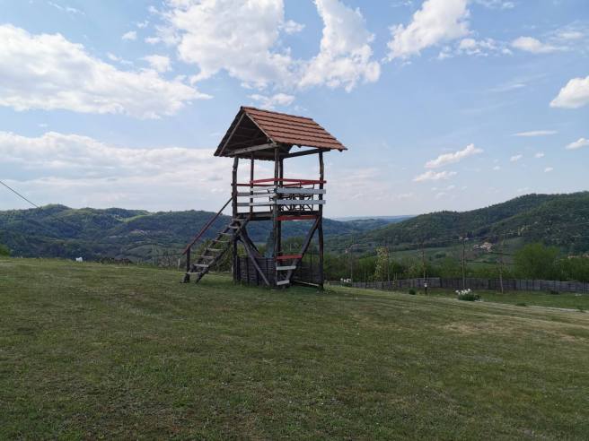 IMG-983aa5802633db197092ab757d338487-V