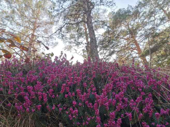 IMG-9b164180977451a9b85c9ae80863a2dd-V