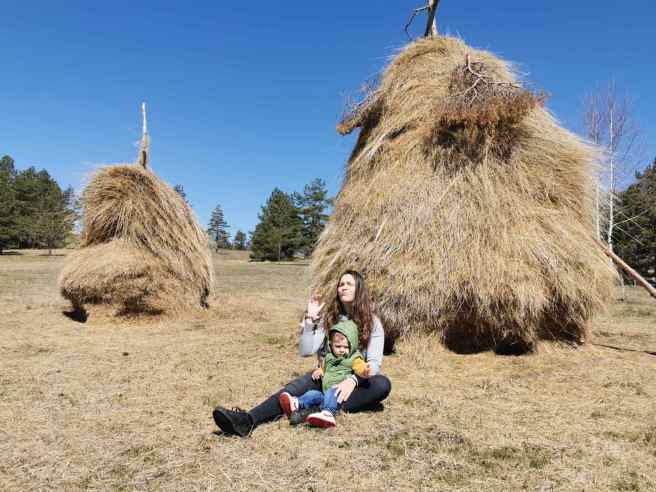 IMG-b8a68c773575d19caad9f3130f4cff12-V