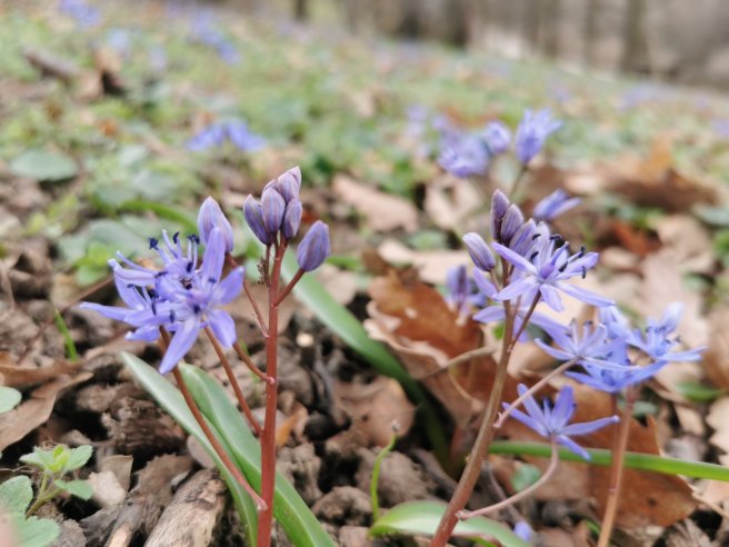 IMG-cfb9e72477a3ebf06c12e29a4834e20a-V