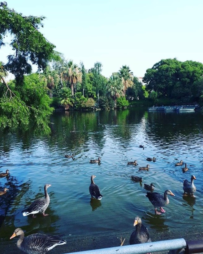 IMG_20190805_151611_840 (1)