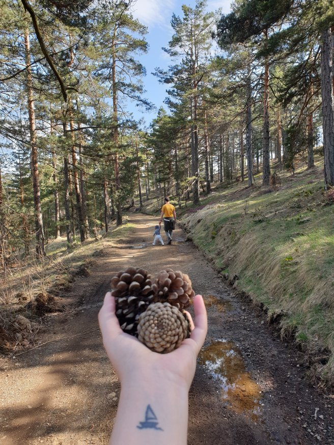 wp-15880965205044246295524633133463