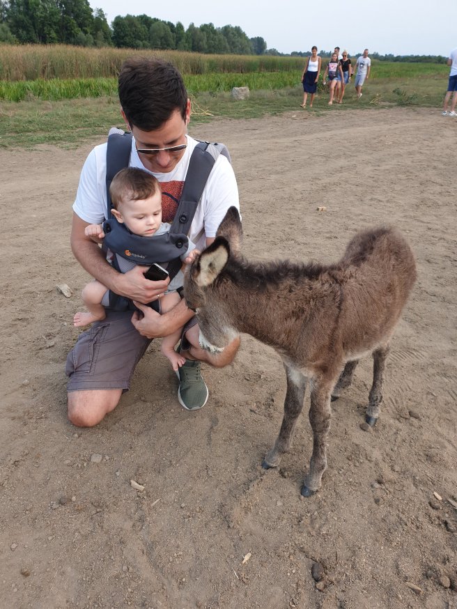 wp-15880965265972038929896264938354