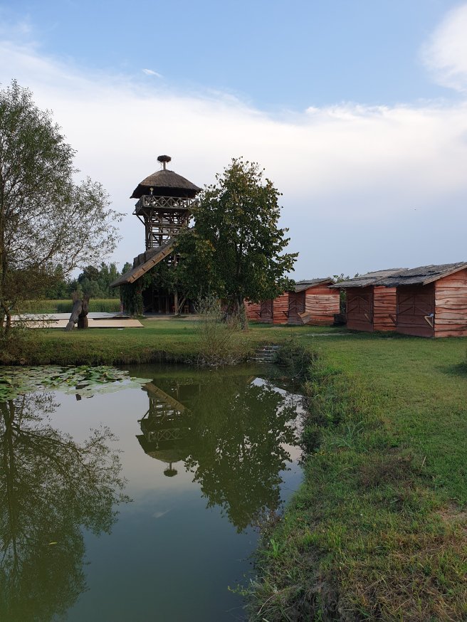 wp-15880965284322536782549857001428