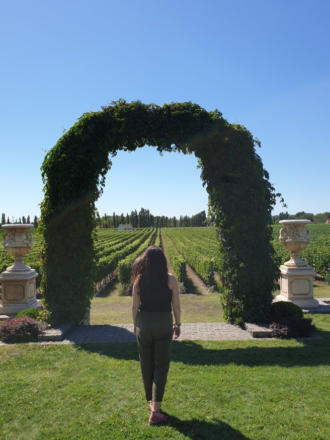 wp-15880965333375011254037870437523