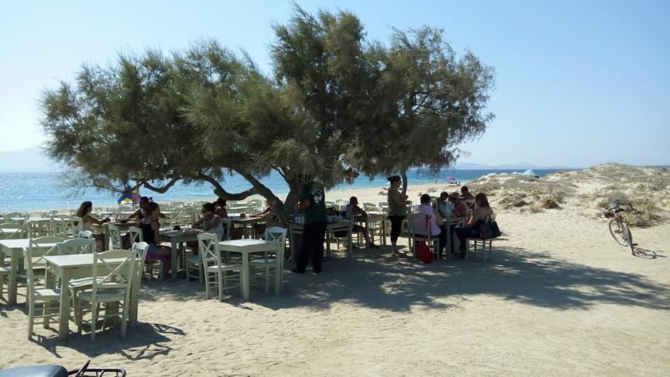 FB_IMG_1593509664177